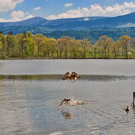 בית אירוח Folwark I Park *