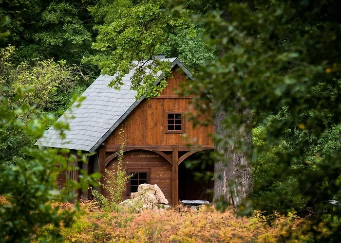 ホームステイ Folwark I Park