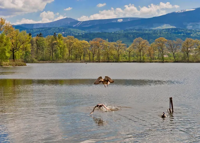 ホームステイ Folwark I Park *