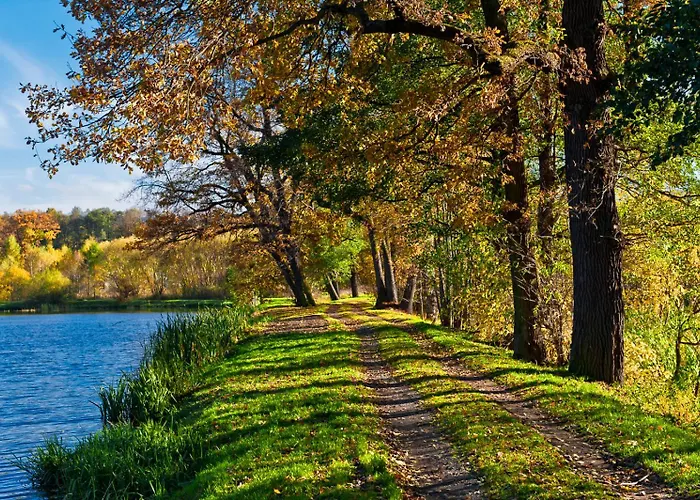 Folwark I Park * Bukowiec (Lower Silesia)